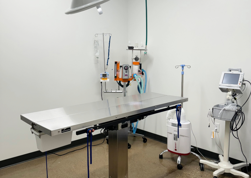 Vetsavers Pet Hospital Dallas Veterinarians